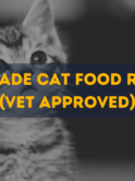 Homemade cat food recipes vet approved